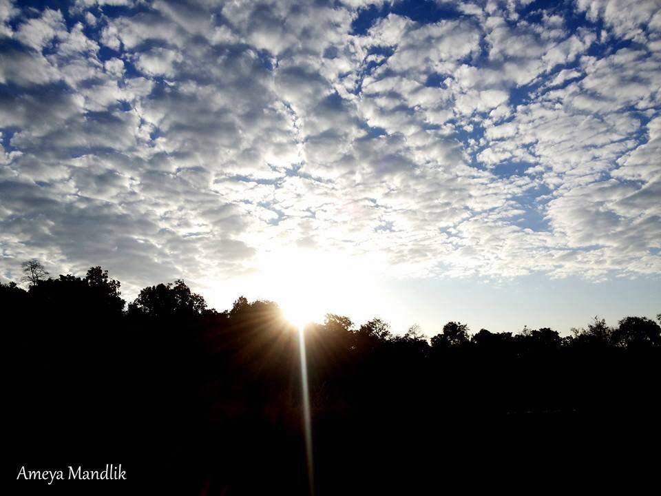 Photo of Jim Corbett National Park, Ramnagar, Uttar Pradesh, India by Ameya Mandlik