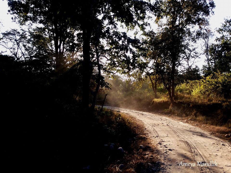 Photo of Jim Corbett National Park, Ramnagar, Uttar Pradesh, India by Ameya Mandlik