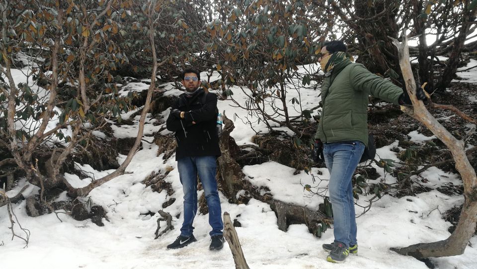 Photo of Trek to Tungnath and Chandrashilla-Uttrakand ##BestOfTravel by Aditya Maletia