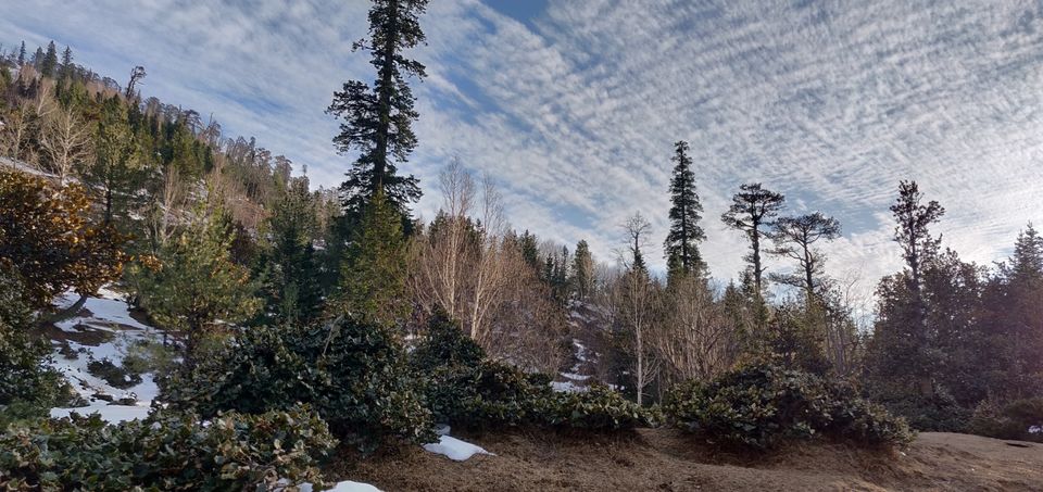 Photo of Gulaba Viewpoint, Kothi, Himachal Pradesh, India by Kamal Preet Singh