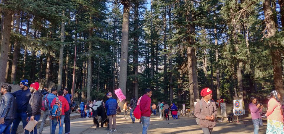 Photo of Hadimba Temple Road, Old Manali, Manali, Himachal Pradesh, India by Kamal Preet Singh