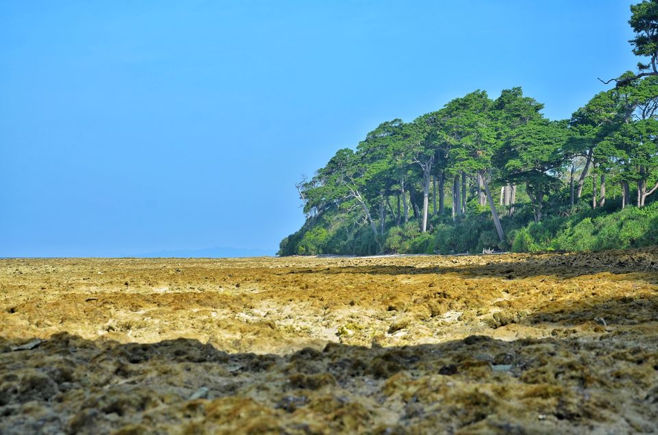 Photo of Lakshmanpur, Andaman and Nicobar Islands, India by LAKSHMAN SATTI