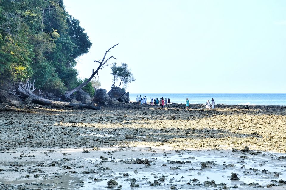 Photo of Lakshmanpur, Andaman and Nicobar Islands, India by LAKSHMAN SATTI