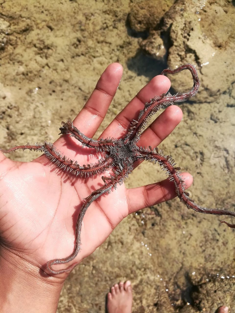 Photo of Lakshmanpur, Andaman and Nicobar Islands, India by LAKSHMAN SATTI