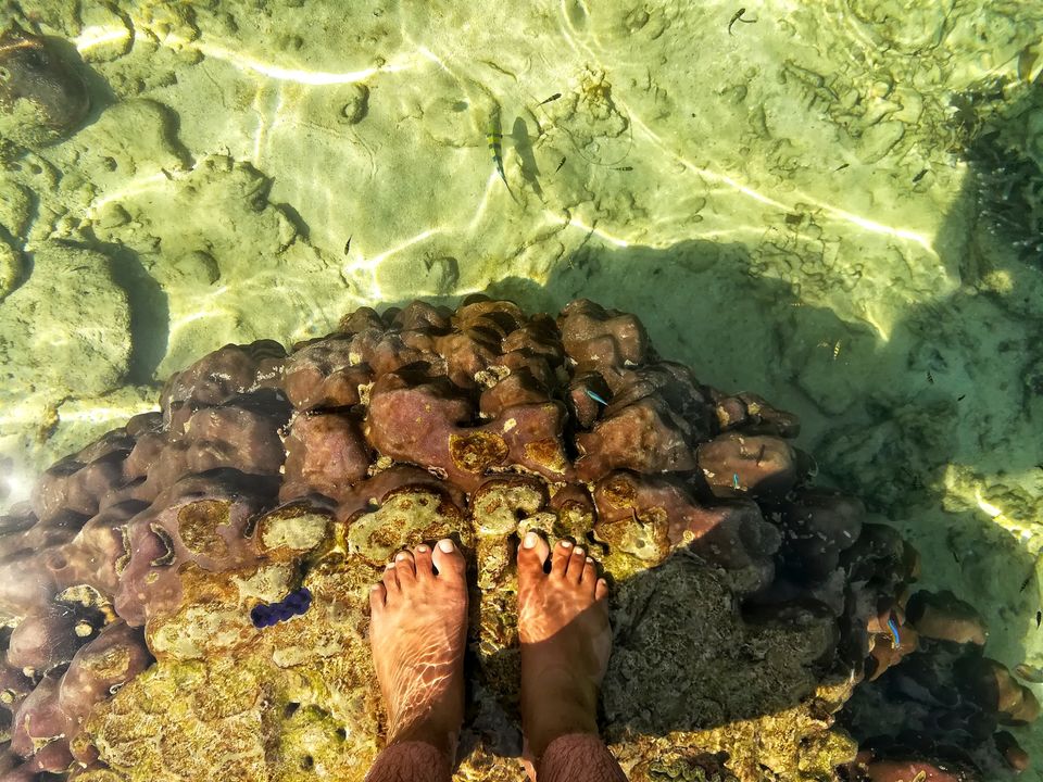 Photo of Lakshmanpur, Andaman and Nicobar Islands, India by LAKSHMAN SATTI