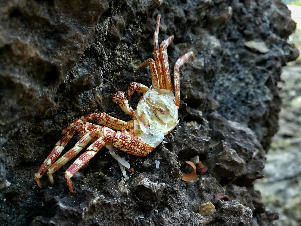 Photo of Lakshmanpur, Andaman and Nicobar Islands, India by LAKSHMAN SATTI