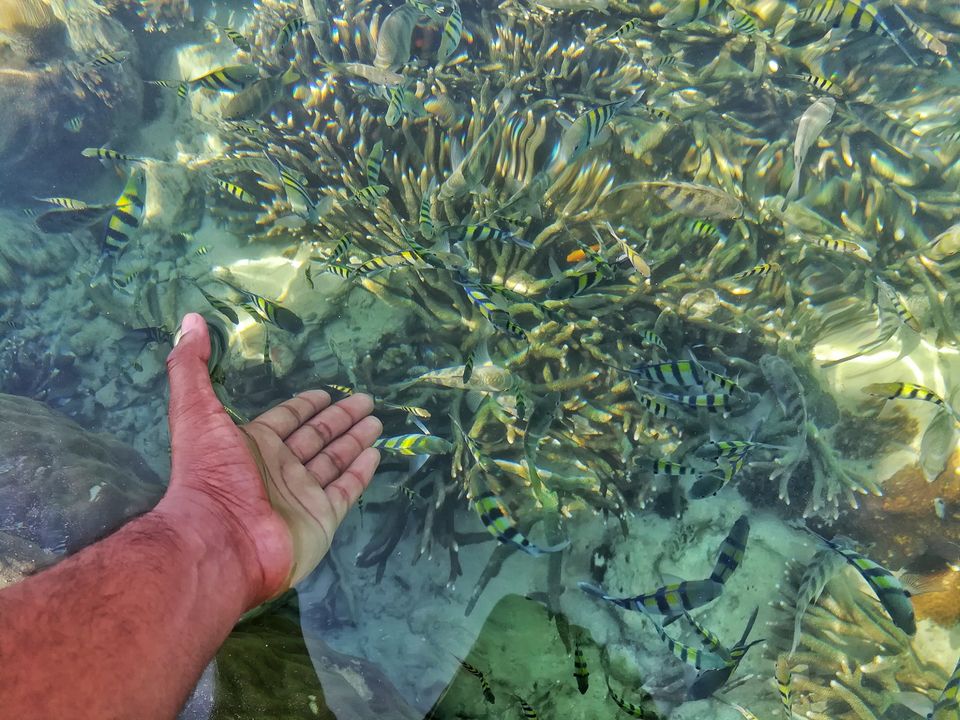 Photo of Lakshmanpur, Andaman and Nicobar Islands, India by LAKSHMAN SATTI