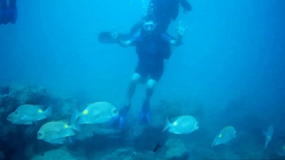 Photo of Island days, Island ways..... Andaman & Nicobar,where salt water cures all your wounds. by LAKSHMAN SATTI