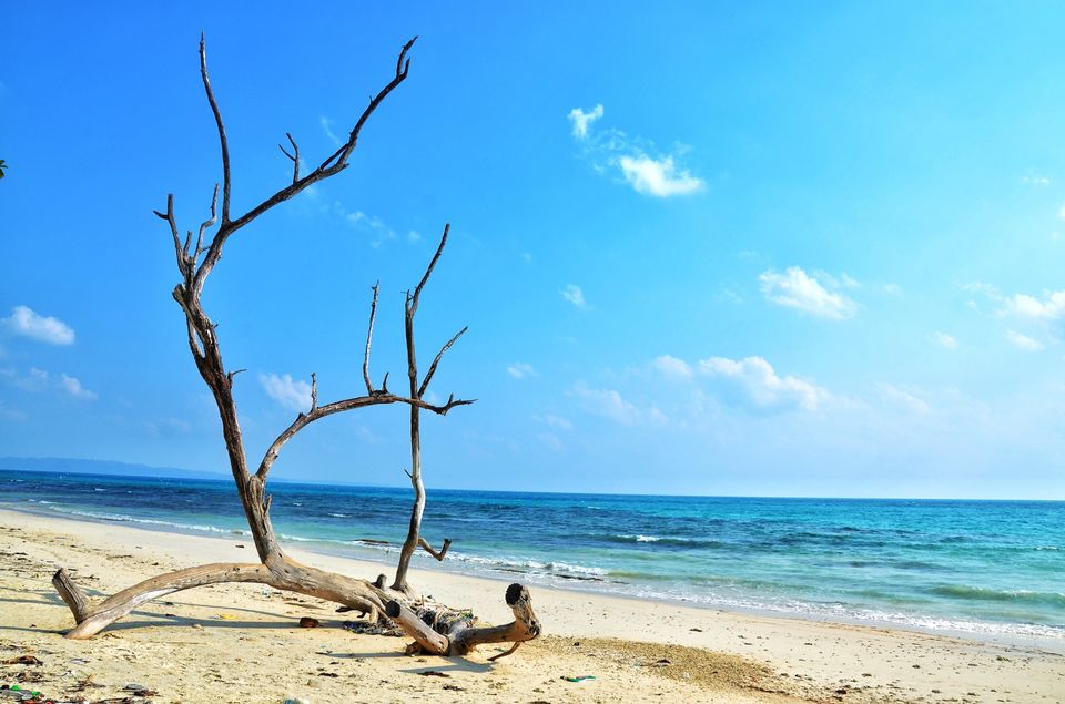 Photo of Kalapathar Beach, Andaman and Nicobar Islands, India by LAKSHMAN SATTI