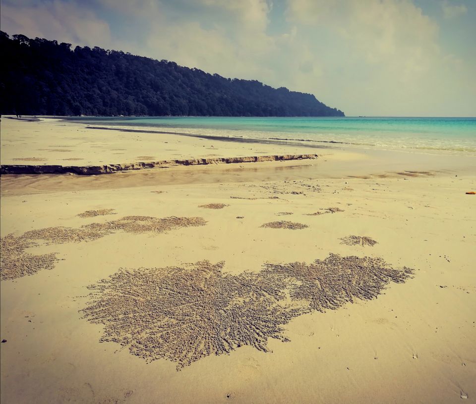 Photo of Radhanagar Beach, Andaman and Nicobar Islands, India by LAKSHMAN SATTI