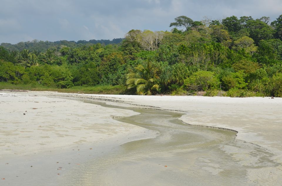 Photo of Radhanagar Beach, Andaman and Nicobar Islands, India by LAKSHMAN SATTI