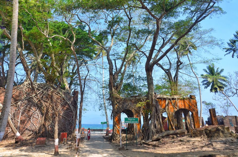 Photo of Ross Island Wildlife Sanctuary, Andaman and Nicobar Islands, India by LAKSHMAN SATTI