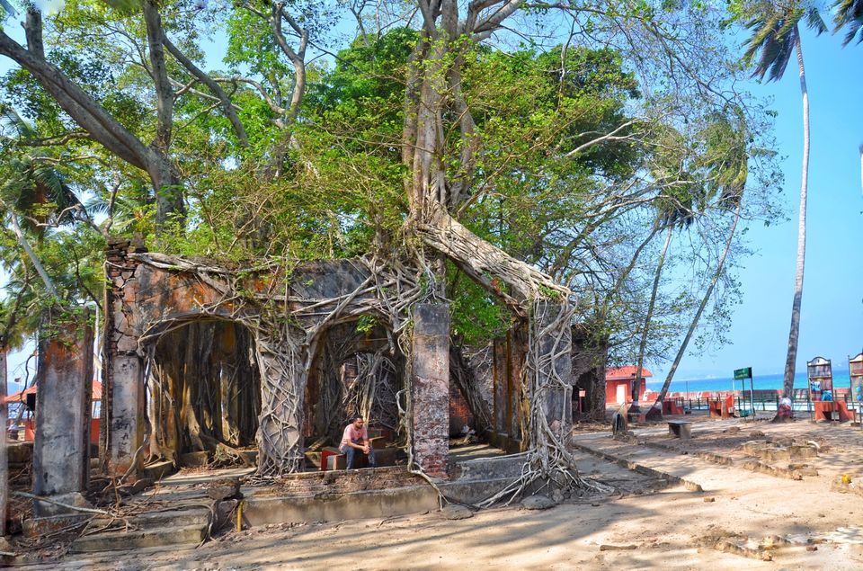 Photo of Ross Island Wildlife Sanctuary, Andaman and Nicobar Islands, India by LAKSHMAN SATTI