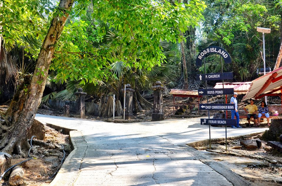 Photo of Ross Island Wildlife Sanctuary, Andaman and Nicobar Islands, India by LAKSHMAN SATTI