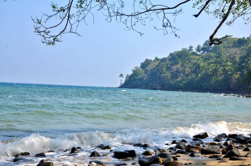 Photo of Ross Island Wildlife Sanctuary, Andaman and Nicobar Islands, India by LAKSHMAN SATTI