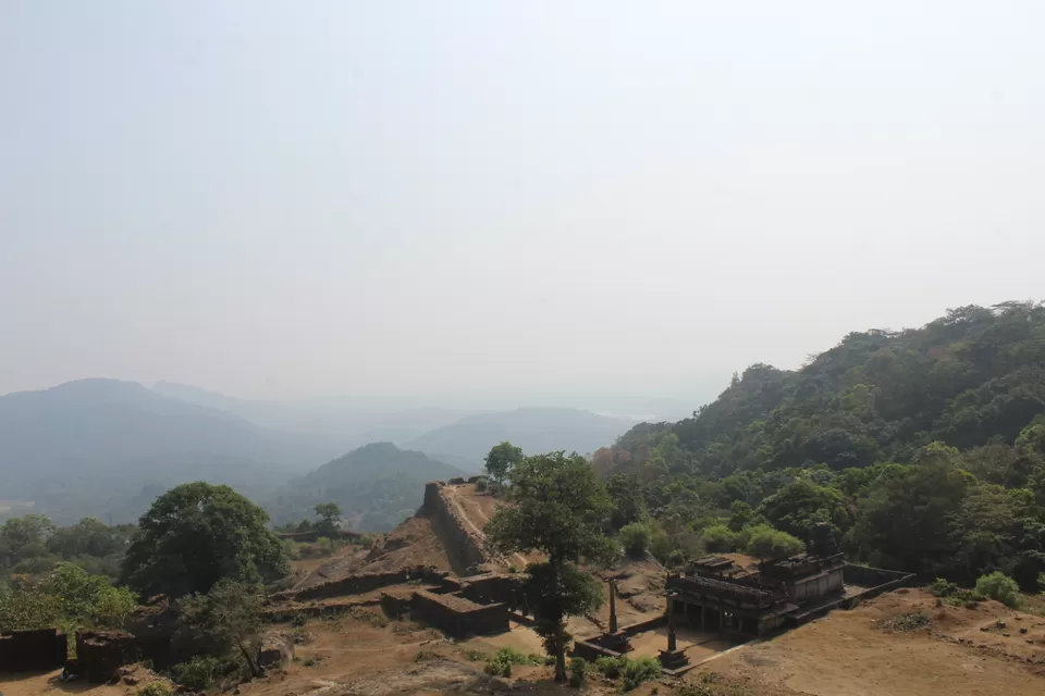 Photo of WILDERNESS OF WESTERN GHATS by Amal Nair