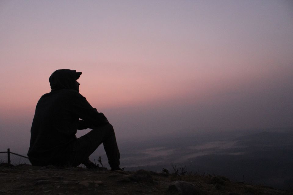 Photo of WILDERNESS OF WESTERN GHATS by Amal Nair