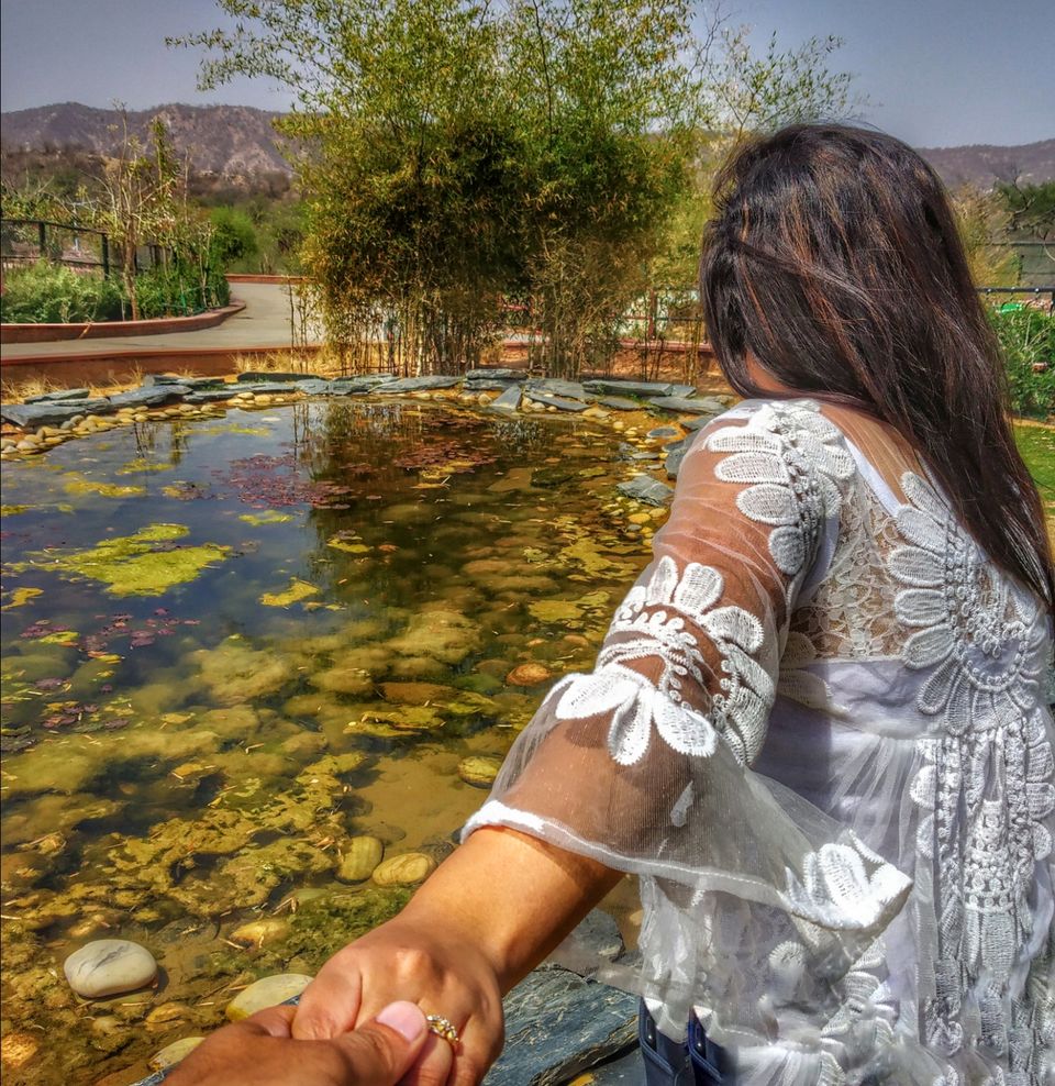 Photo of Nahargarh Biological Park, Kukas, Rajasthan, India by Neeraj Koul