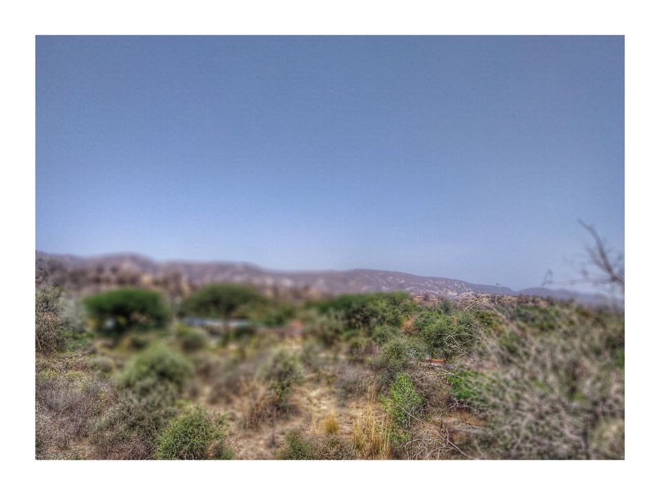 Photo of Nahargarh Biological Park, Kukas, Rajasthan, India by Neeraj Koul