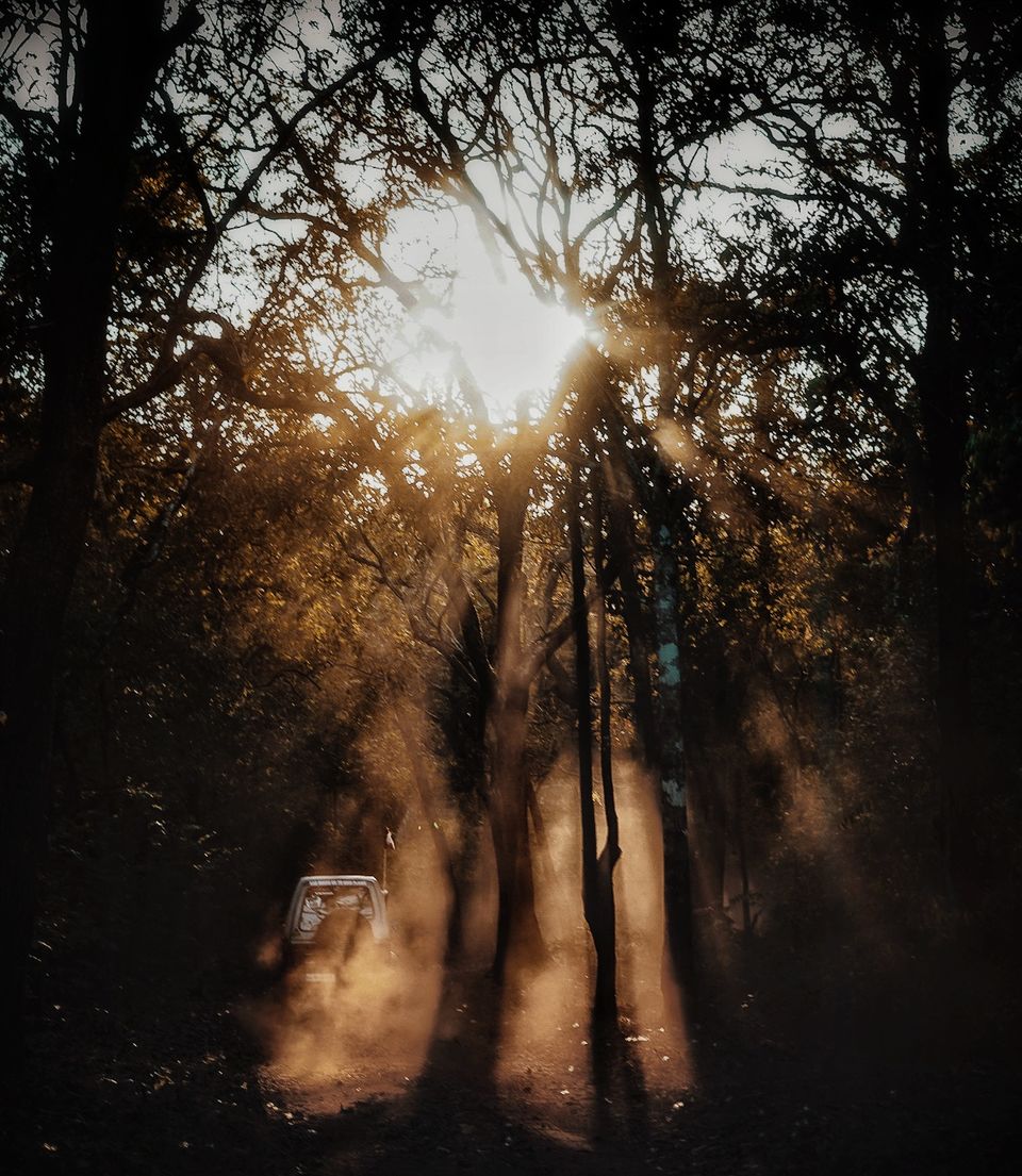 Photo of BAD ROADS GO TO GOOD PLACES 3/6 by Shramona Poddar