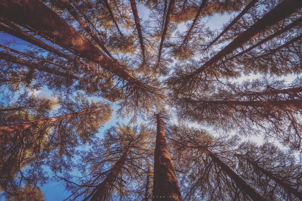 Photo of Mussoorie, Uttarakhand, India by Abhishek Raj Chaudhary