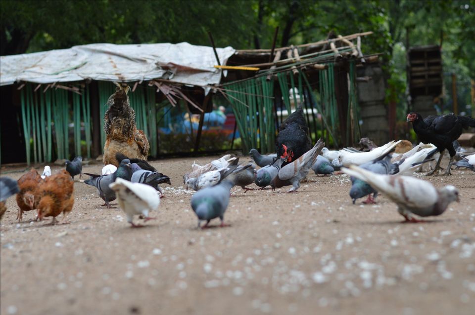 Photo of Ekashila Nagar, Warangal, Telangana, India by gnanadurai paulraj