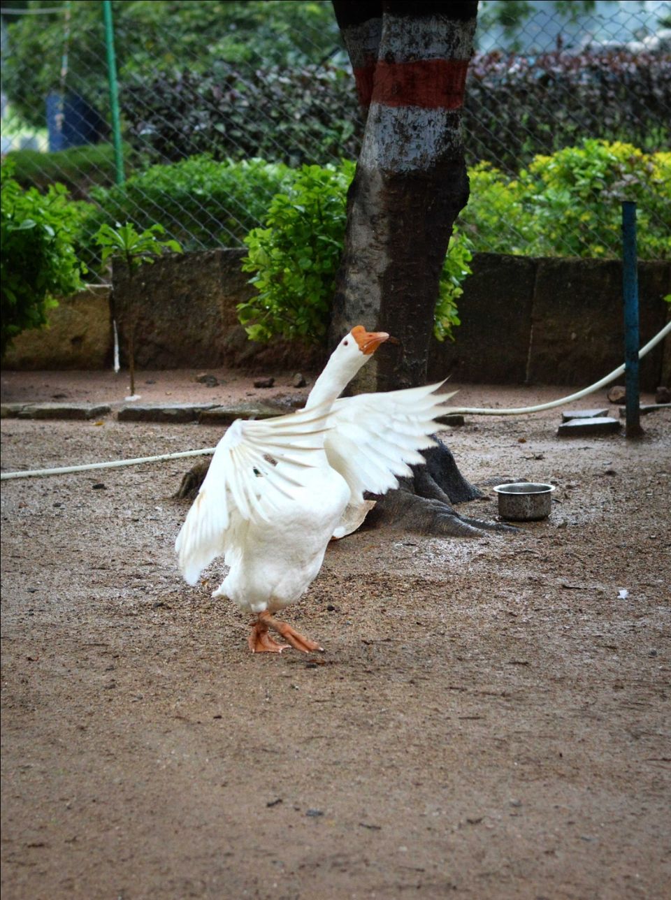 Photo of Ekashila Nagar, Warangal, Telangana, India by gnanadurai paulraj