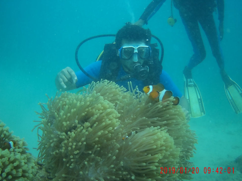 Photo of Andaman & Nicobar - The Amazing Islands! by Amrut Bawane