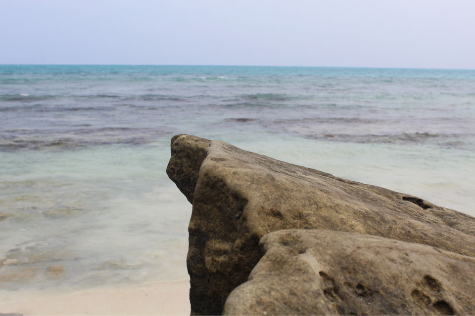 Photo of Andaman & Nicobar - The Amazing Islands! by Amrut Bawane