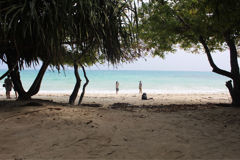 Photo of Andaman & Nicobar - The Amazing Islands! by Amrut Bawane