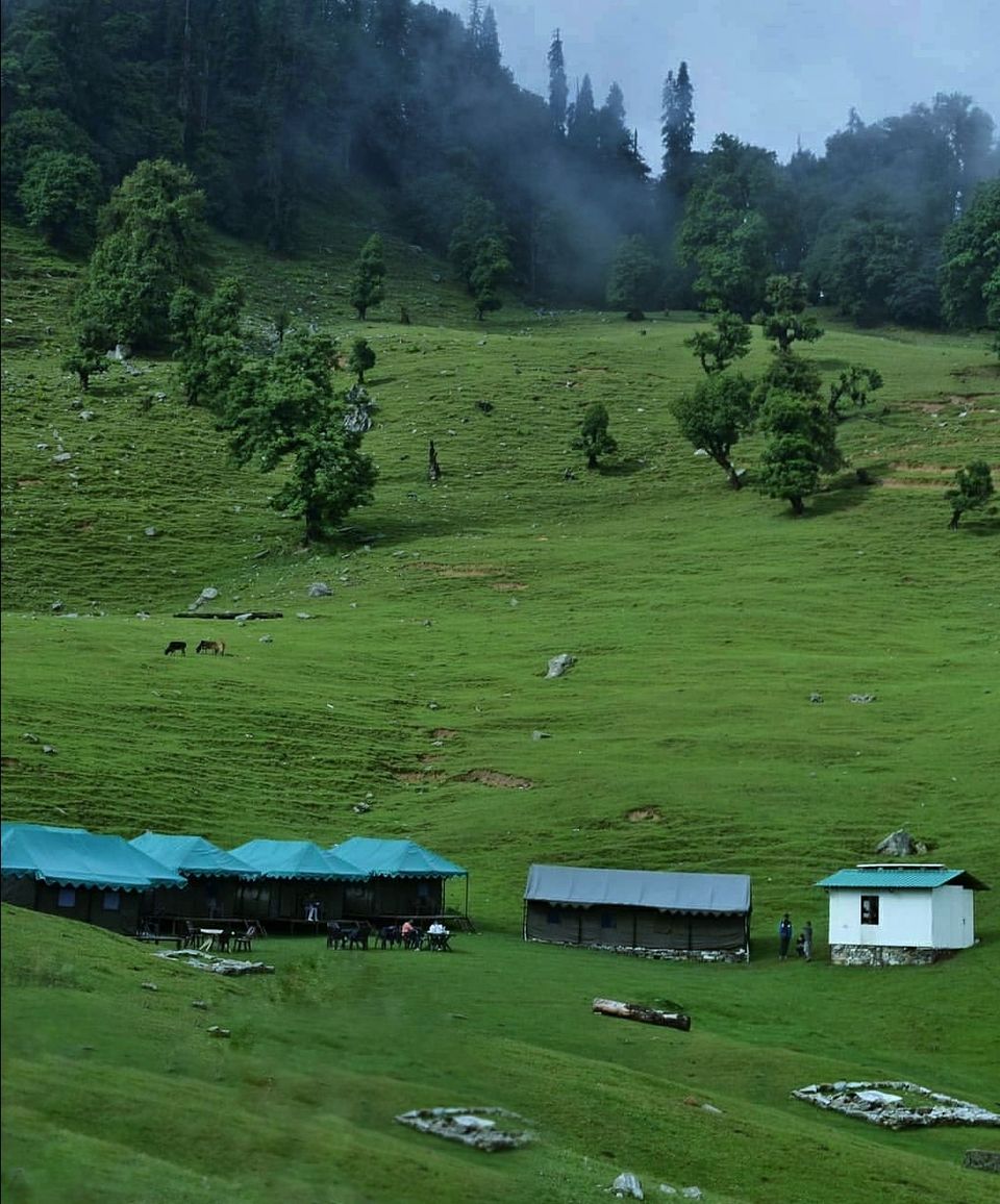 Photo of शंकर की ओर___A Young Bagpacker found her soul here (तुंगनाथ _चंद्रशिला) by Pragati trivedi