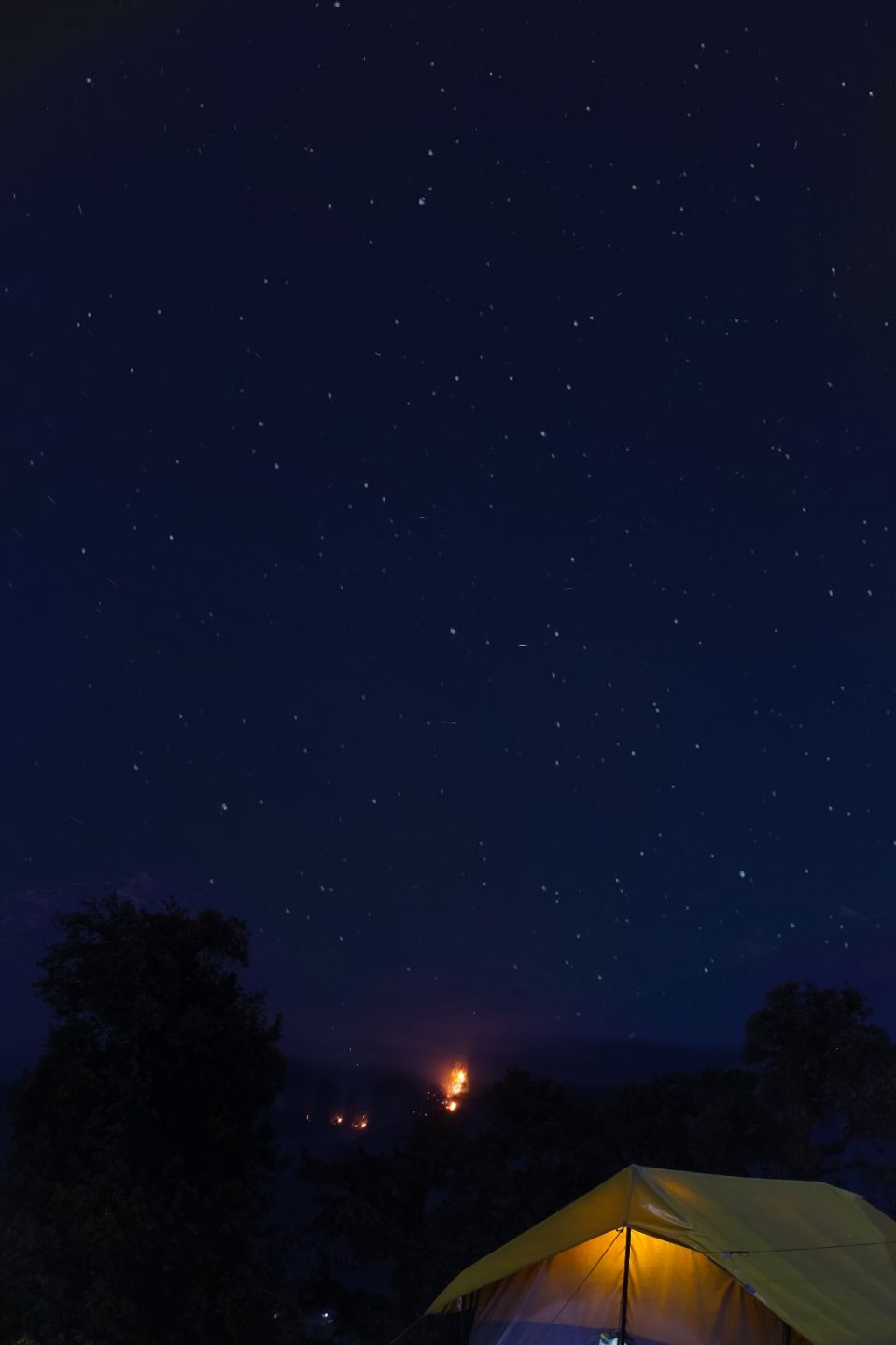 Photo of शंकर की ओर___A Young Bagpacker found her soul here (तुंगनाथ _चंद्रशिला) by Pragati trivedi