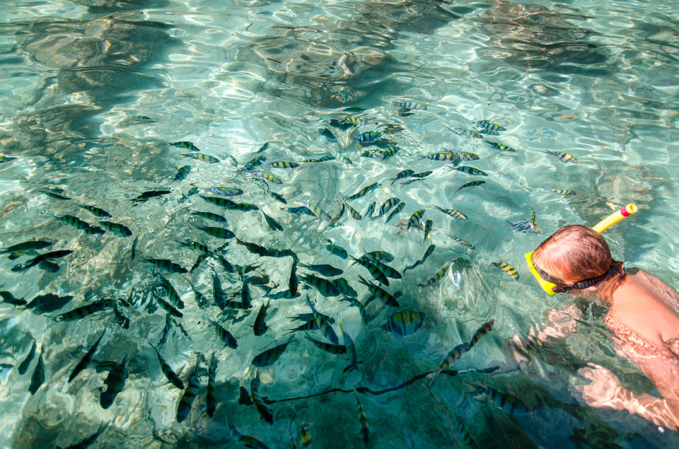 Photo of Thailand Singapore - Your guide to budget DIY trip with parents - Part II 13/21 by Jyoti Patil