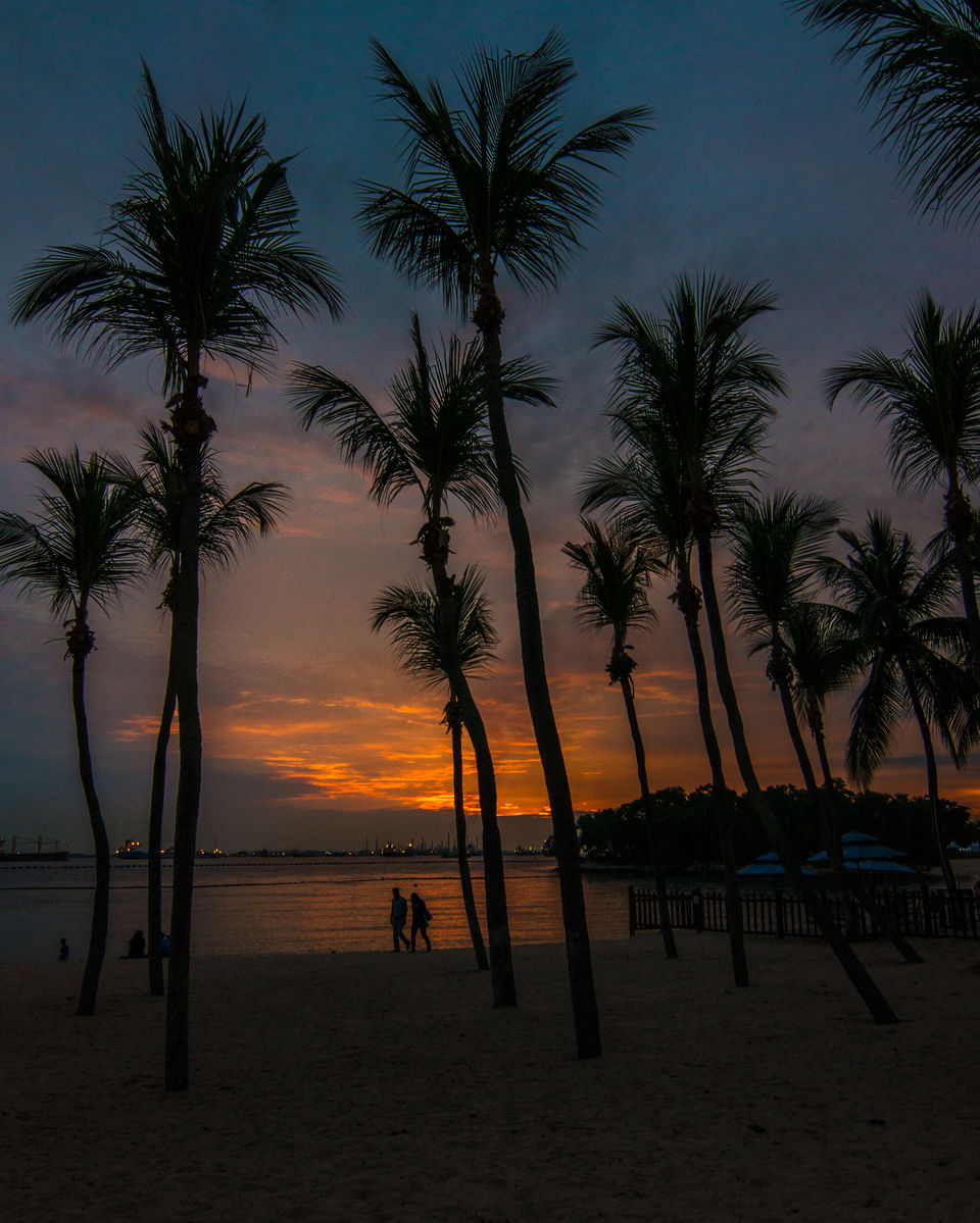 Photo of Thailand Singapore – Your guide to budget DIY trip with parents – Part I 12/17 by Jyoti Patil