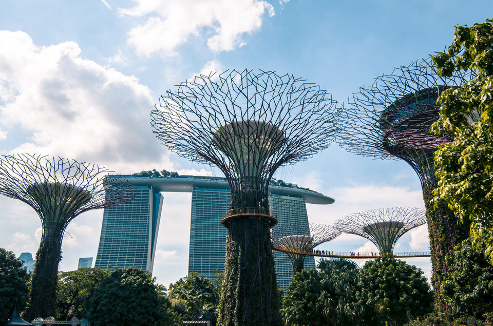 Photo of Thailand Singapore – Your guide to budget DIY trip with parents – Part I 14/17 by Jyoti Patil