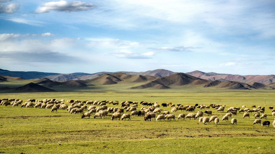 Photo of Why should you visit Mongolia? by Jyoti Patil