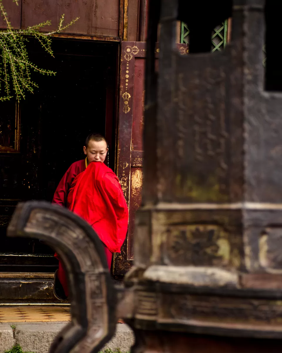 Photo of Mongolia by Jyoti Patil