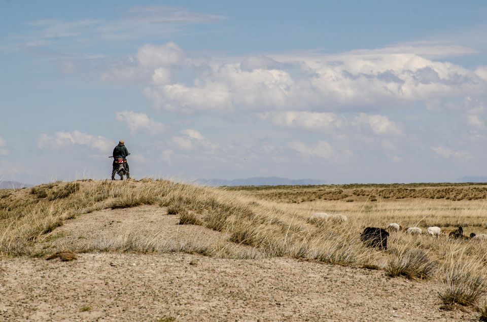 Photo of Mongolia by Jyoti Patil