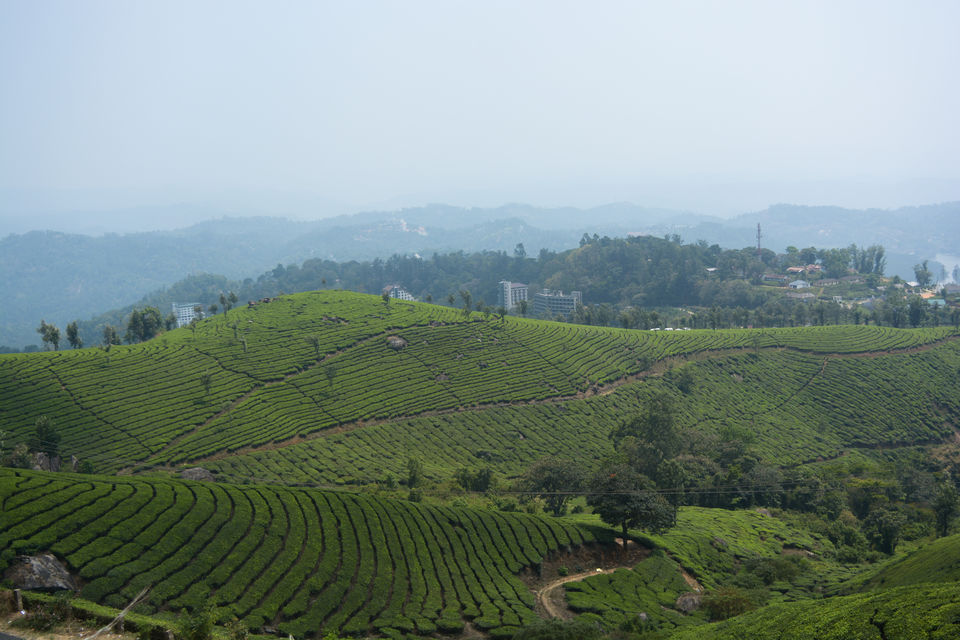 Photo of Munnar, Kerala, India by Barani Ram