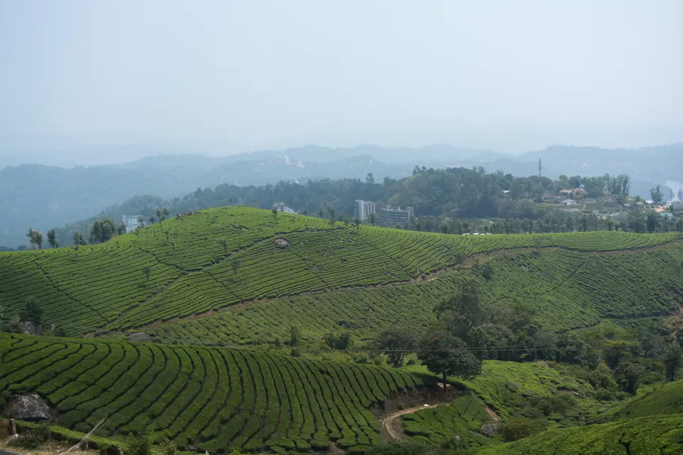 Photo of Munnar, Kerala, India by Barani Ram