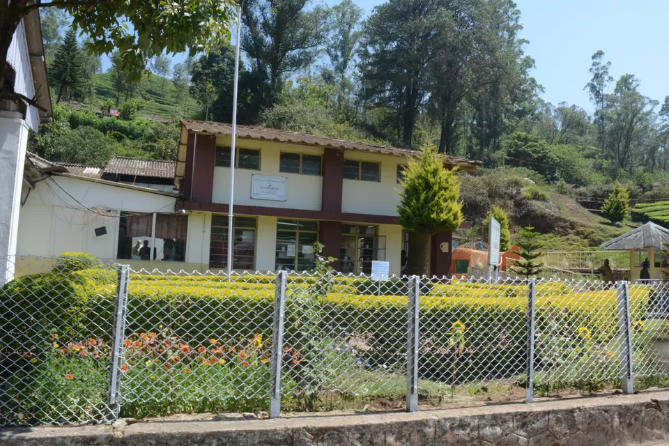 Photo of Munnar, Kerala, India by Barani Ram