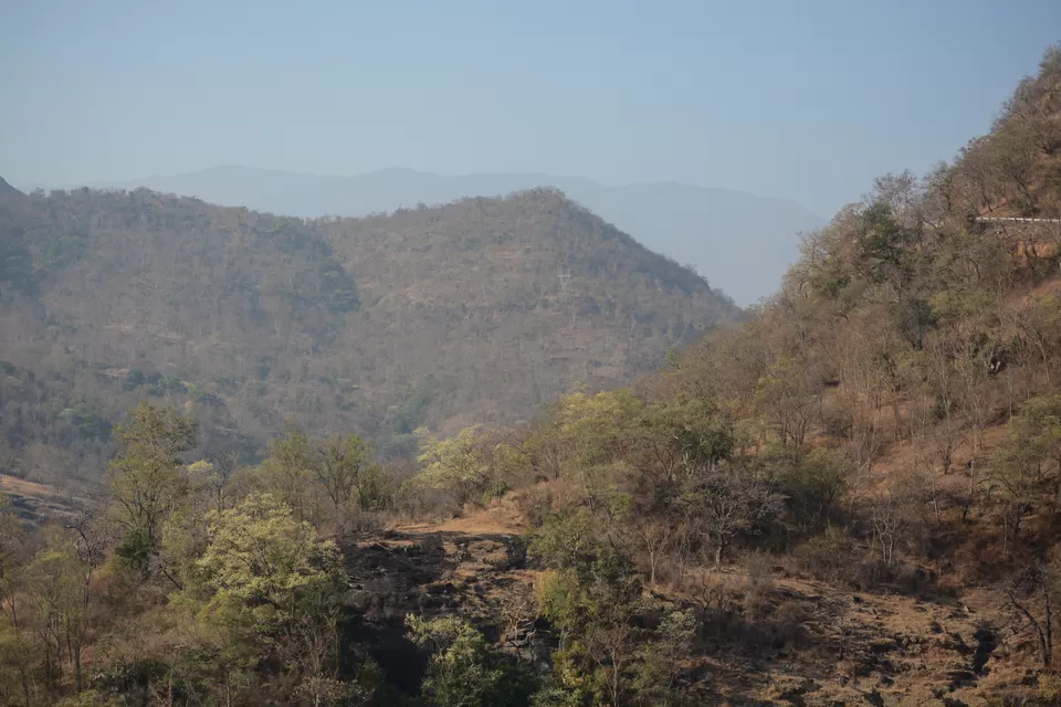 Photo of Chinnar Wildlife Sanctuary, Munnar, Kerala, India by Barani Ram