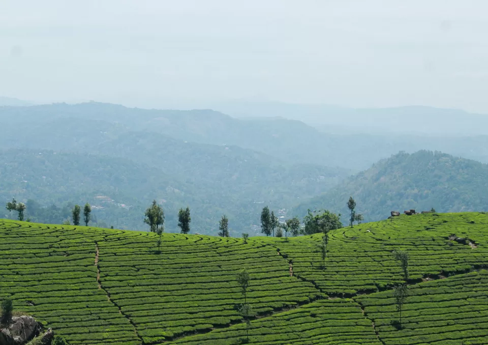 Photo of Pothamedu View Point, Kerala, India by Barani Ram