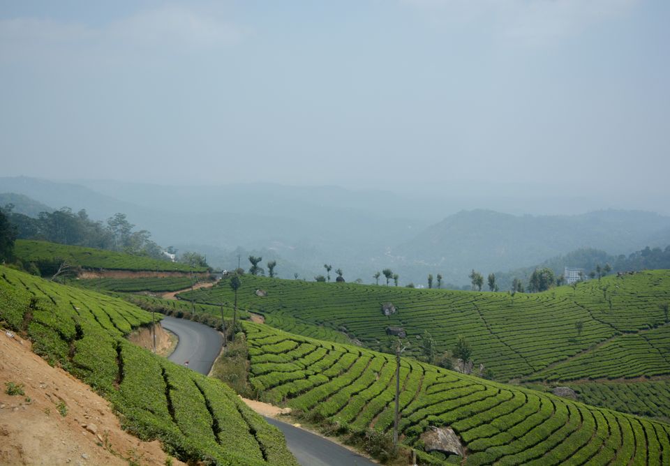 Photo of Pothamedu View Point, Kerala, India by Barani Ram
