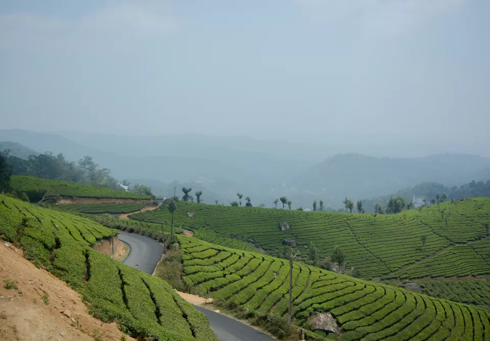 Photo of Pothamedu View Point, Kerala, India by Barani Ram
