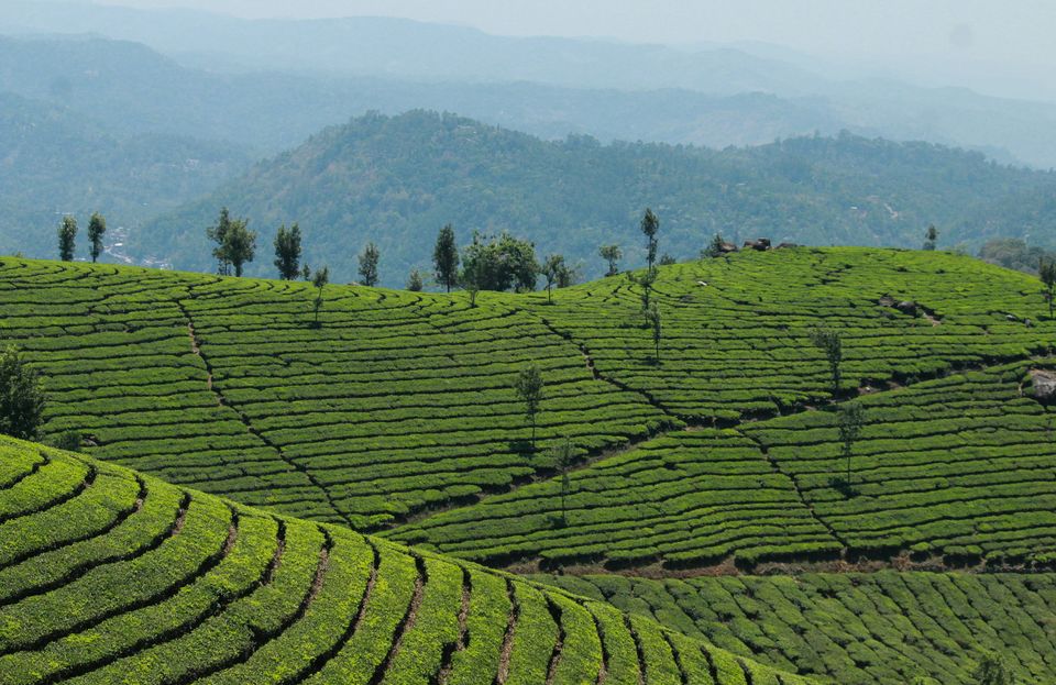 Photo of Pothamedu View Point, Kerala, India by Barani Ram