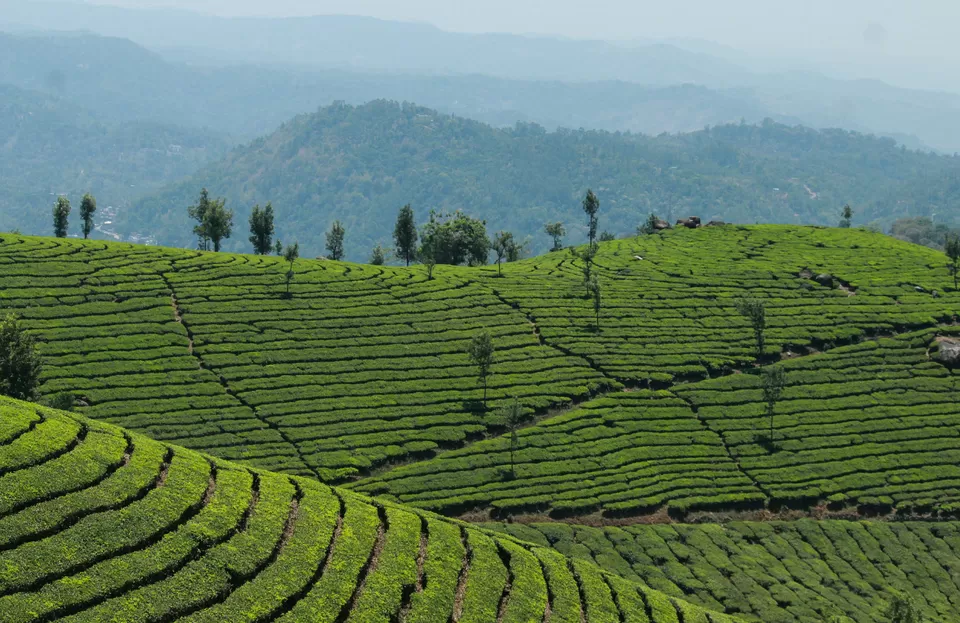 Photo of Pothamedu View Point, Kerala, India by Barani Ram