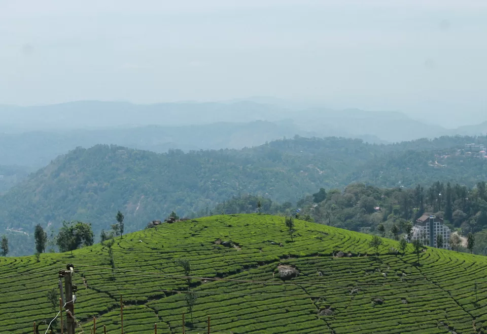 Photo of Pothamedu View Point, Kerala, India by Barani Ram