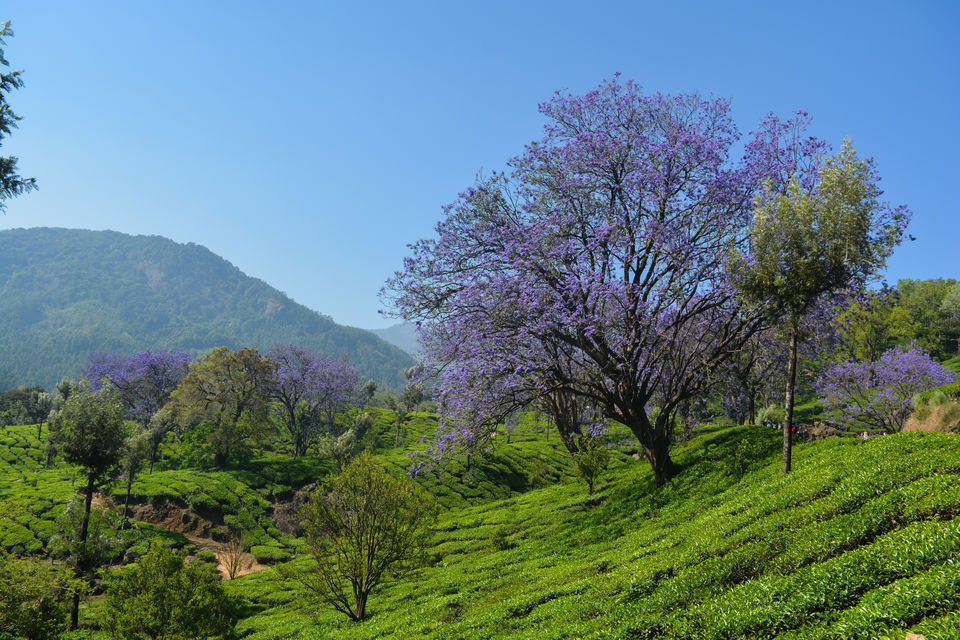 Photo of Marayoor, Kerala, India by Barani Ram