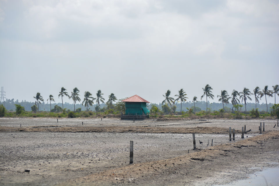 Photo of Kochi, Kerala, India by Barani Ram
